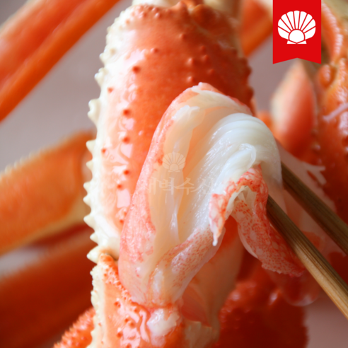 새벽수산의 특A급 러시아 대게: 품질과 맛의 향연