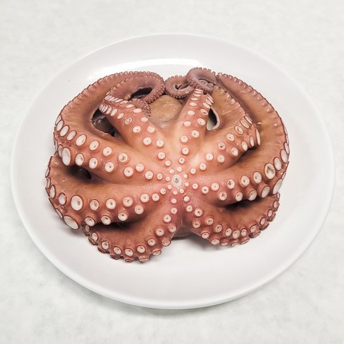 통영 자연산 문어 돌문어 국내산 자숙문어 손질문어 일반용 제수용, 1개, (제수용)돌문어 1kg (1미)