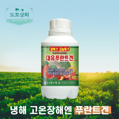 저온장해 사과 복숭아 블루베리 고추 토마토 배 매실 오이 냉해 동해 저온해 화아분화 적고현상