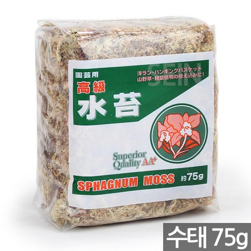 원예 칠레 천연 수태 150g - 서양랸 행잉 난 란 바스켓 산야초 관엽식물 모스 이끼 석부작 풍란 토피어리