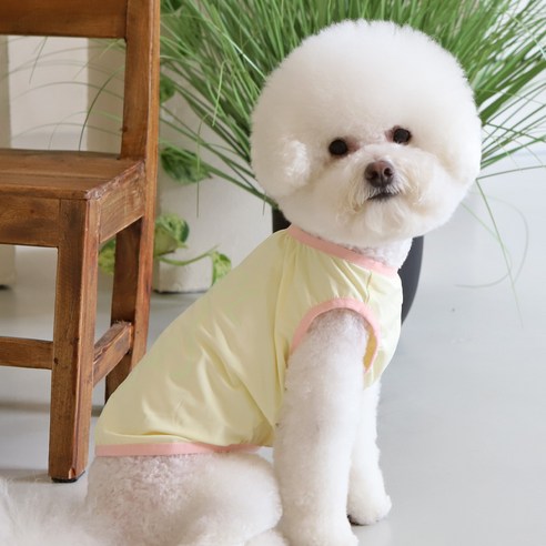 강아지 여름옷 아이스크림 야광 쿨나시(자외선 차단 UPF 50+), 옐로우
