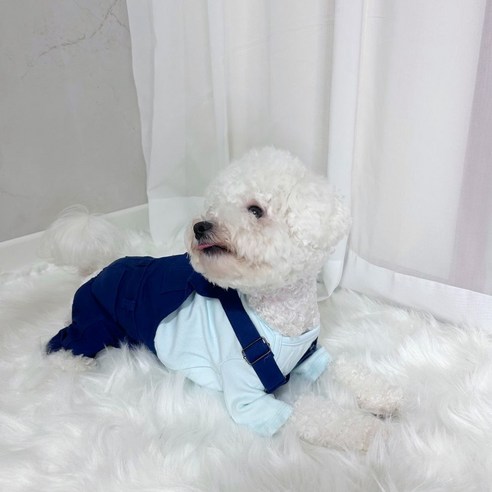 강아지 베이직 코튼 멜빵 바지 올인원, 1개, 핑크