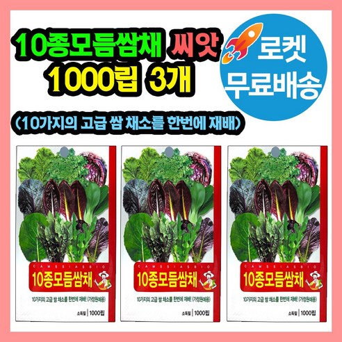 10종 모듬쌈채 씨앗, 3개