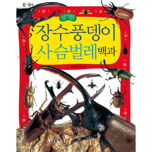 신기한 장수풍뎅이 사슴벌레 백과, 글송이