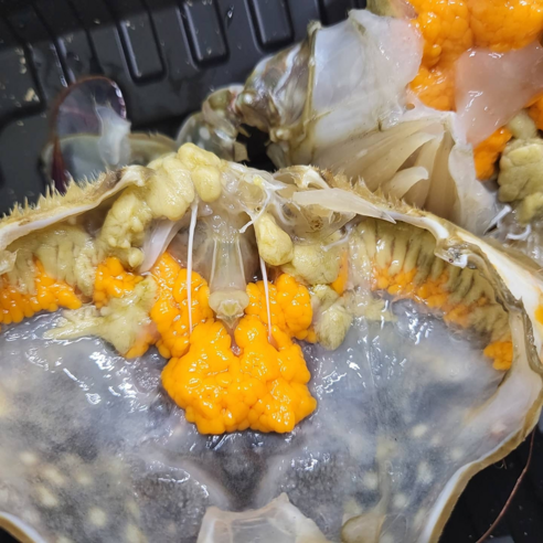 봄, 밥상에 꽃이 피었습니다! 연평도 알배기 암꽃게로 즐기는 미식의 향연