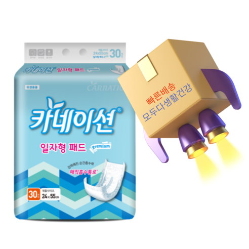 카네이션 속기저귀 일자고급형 240매 성인기저귀, FREE(onesize), 30개입, 1개