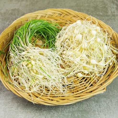 국내산 산지 직송 세척 봄 제철 나물 자연산 달래 500g 달래무침 달래간장 가락시장 당일 새벽경매