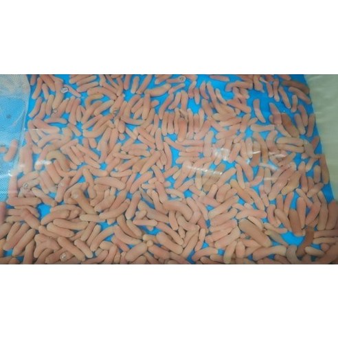 바닷가에서 갓 잡아 올린 참개불을 신선하게 드세요