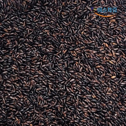 2025년산 국산 메흑미 진흑미 멥쌀흑미 검은쌀 검정쌀 1Kg