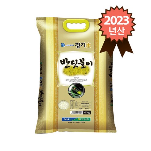 2023년산 연천농협 특등급 대안미 반딧불이쌀, 4kg, 1개