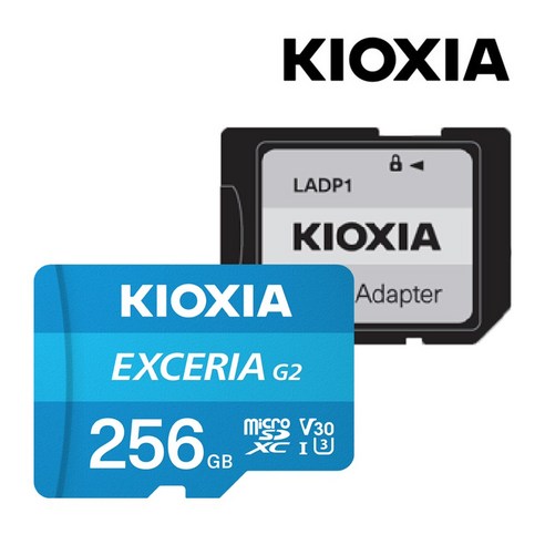 키오시아 EXCERIA XC UHS-I microSD 메모리카드 256GB, 단품