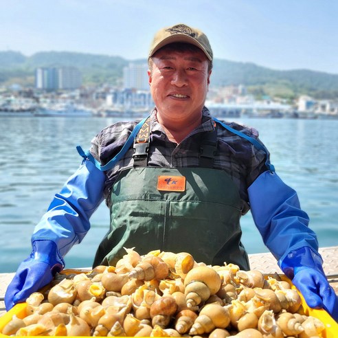 선주직송 백석수산 동해안 활 백고동 백골뱅이 자연산 생물 1kg, 자숙백고동(중자)1kg(25미내외), 1개