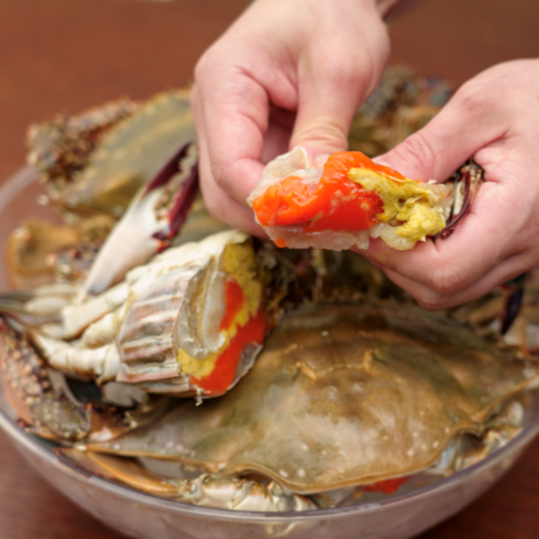 K-꽃게 어부가 직접 판매하는 급냉 봄 암꽃게, 1개, 1kg(5~6미)
