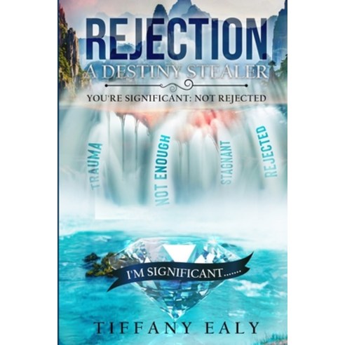(영문도서) Rejection: A Destiny Stealer Paperback, Empac Publishing, English, 9780578249773