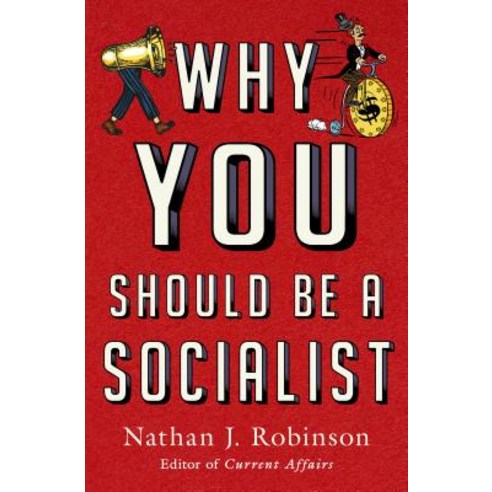 (영문도서) Why You Should Be a Socialist Hardcover, All Points Books, English, 9781250200860