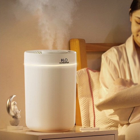 ADJSQ01 무드등 초음파 가습기