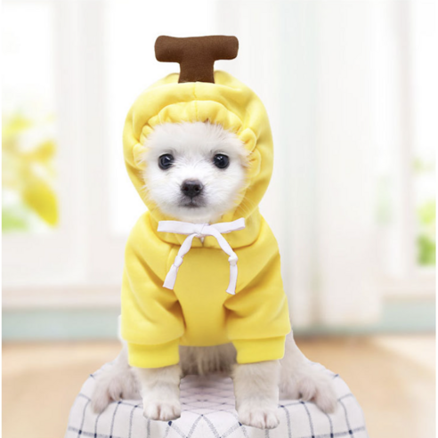 애견생활 소형견 후드티, 바나나, 1개