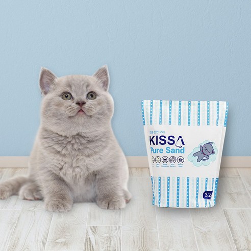키사 퓨어 샌드 6 벤토나이트 고양이 모래 리뷰후기