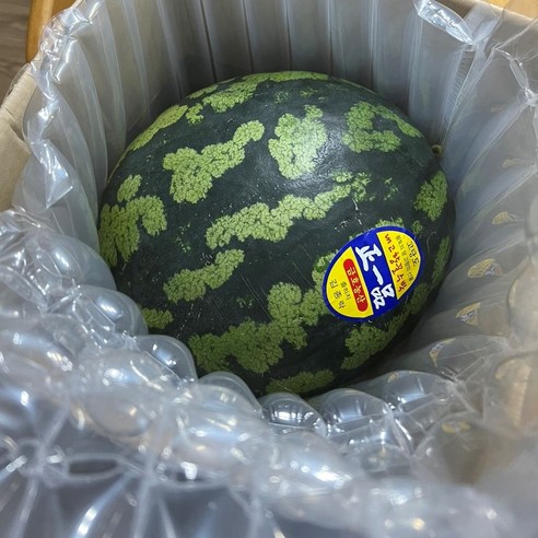 수박 양구 꿀수박 7kg 맹동, 1개, 5kg