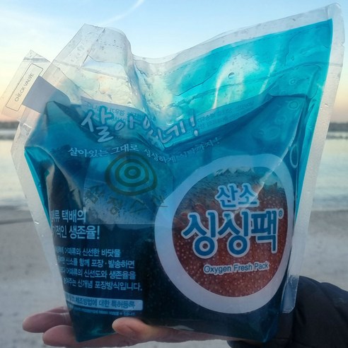 산지직송 자연산 최고급 홍해삼 제철 해삼회, 바다의 진미를 집에서 즐기세요