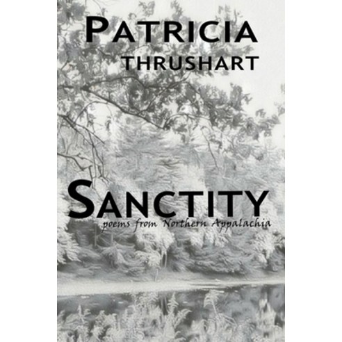 Sanctity: Poems From Northern Appalachia Paperback, Independently 