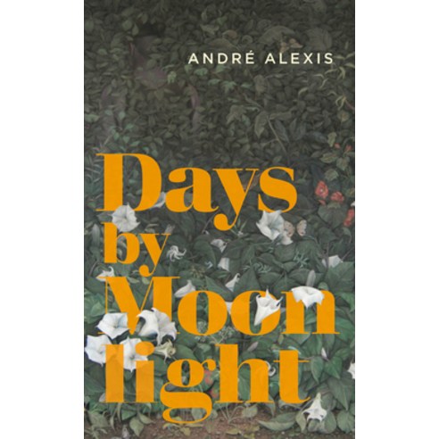 (영문도서) Days by Moonlight Paperback, Coach House Books, English, 9781552453797