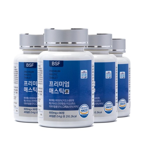 BSF 프리미엄 매스틱정 HACCP 인증 600mg x 90정