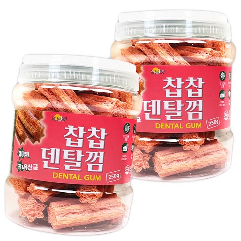 쏨달펫 찹찹 덴탈껌 2종 세트, 장+유산균, 250g, 2개
