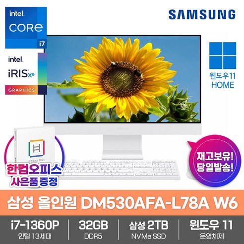 삼성전자 일체형PC 올인원 DM530AFA-L78A W6 32GB램/SSD2TB/13세대 i7/Win11/한컴오피스/데스크탑, 32GB