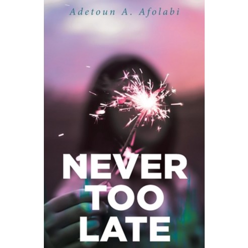 (영문도서) Never Too Late Paperback, Fulton Books, English, 9798887312163