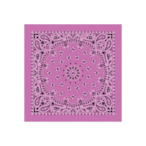 Hav-A-Hank USA Made 100% Cotton Paisley B&annas B&anas 22