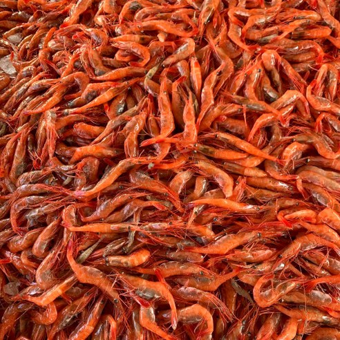 최고의 횟감과 요리에 신선한 바다의 맛을 선사하는 동해안 급냉 홍새우