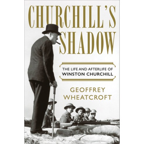 Churchill''s Shadow: The Life and Afterlife of Winston Churchill Hardcover, W. W. Norton & Company, English, 9781324002765