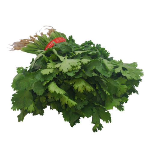 고수 150g 상품에 대한 가격, 배송료, 평가수, 평점, 중량, 수량, 품목, 생산자, 원산지, 보관방법, 취급방법 정보가 포함되어 있습니다.
