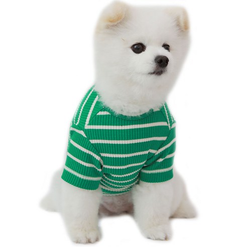 럭키페터 뉴 단가라 강아지 옷 소형견 대형견 티셔츠 베들링턴테리어옷 리트리버옷, 그린화이트, 1개
