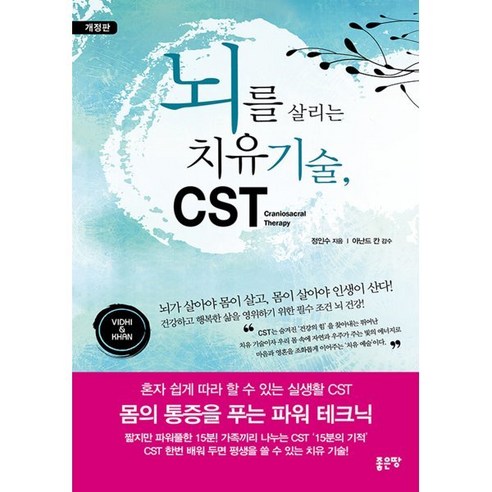 [좋은땅]뇌를 살리는 치유 기술 CST (개정판), 좋은땅, 정인수