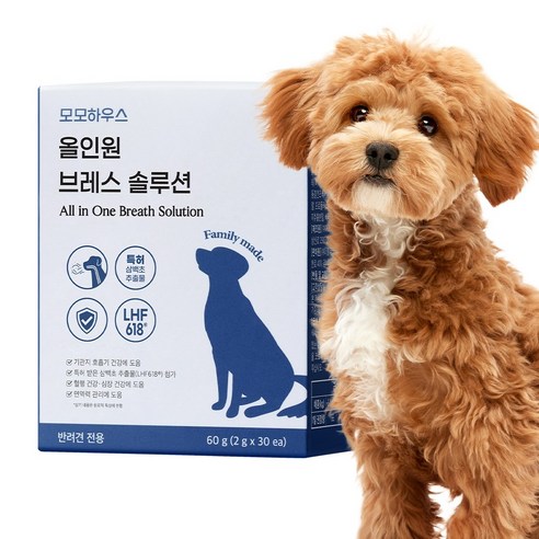 모모하우스 올인원 브레스 솔루션 호흡기 기관지 강아지 영양제, 호흡기/기관지, 1개