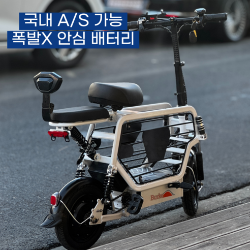 댕댕이와 바람을 가르며! 노르테 전동 스쿠터, 펫팸족 필수템일까? 솔직 후기 미니스쿠터