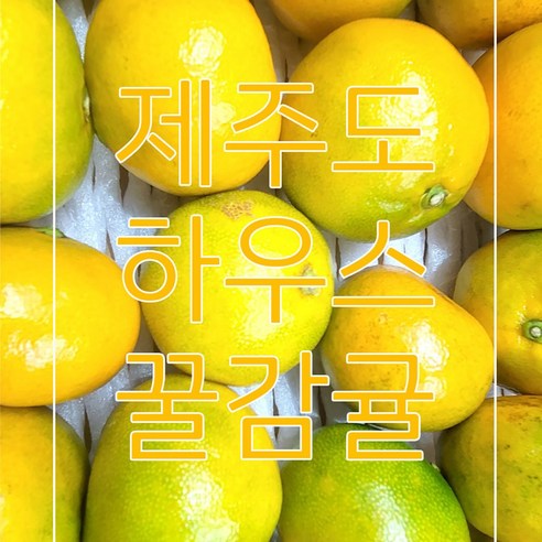 [원라마켓]산지직송 청정 자연 제주도 하우스 감귤, 소과, 5개, 2.5kg