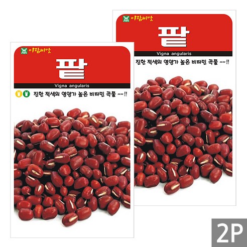 세인화분 팥 30g - 국산 콩 씨 씨앗, 2개