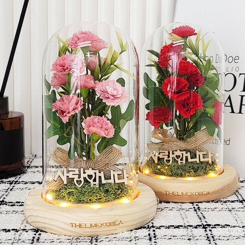 감사의 마음을 담은 빛, 더라임코리아 카네이션 무드등