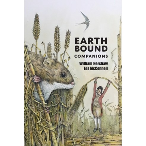 (영문도서) Earth Bound Companions Paperback, Grace Note, English, 9781913162153