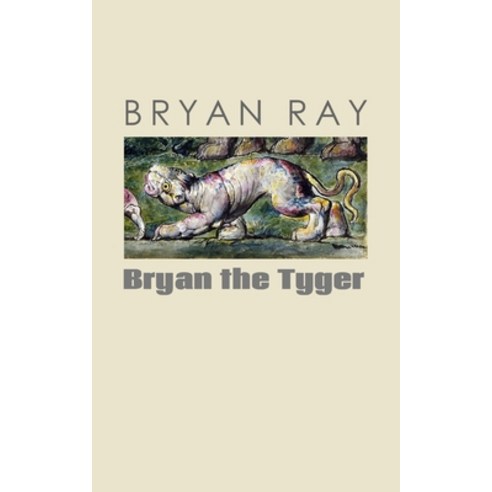 Bryan the Tyger Paperback, Independently Published, English, 9798743834600