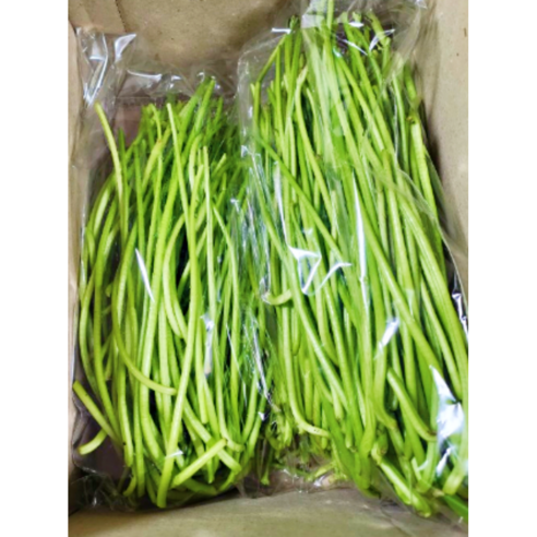 국산 생 고구마순 400g 1kg 청대 고구마 줄거리 고구마줄기, 1박스