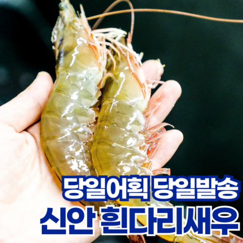 [당일조업] 산지직송 국산 신안 활 왕 새우 흰다리새우, 1kg, 1개