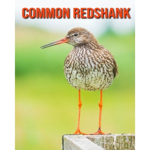 (영문도서) Common Redshank: Beautiful Pictures & Interesting Facts Children Book About Common Redshank Paperback, Independently Published, English, 9798508993924