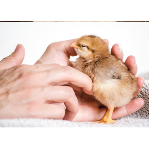 생명의 시작을 함께하는 동반자