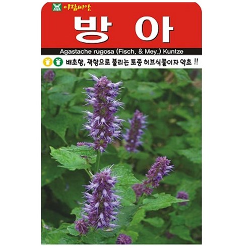 방아 씨앗 약초 나물 씨 종자, 3개