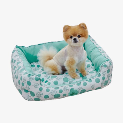 리얼펫 플라워 도트 하우스 강아지 쿠션 침대 방석 3color, 민트