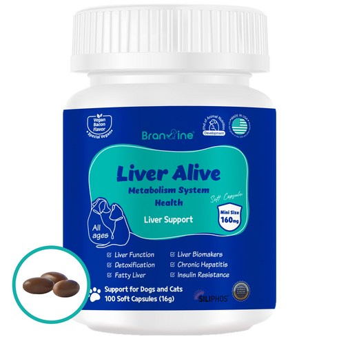 브랜바인 미국 특허 간 기능 개선 영양제 강아지 고양이 밀크씨슬 실리빈, 100정, 간+장건강, 1개